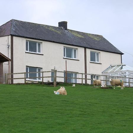 Cob Cottage Tregaron Exterior foto