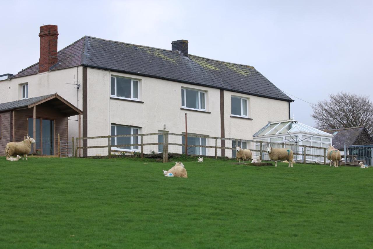 Cob Cottage Tregaron Exterior foto